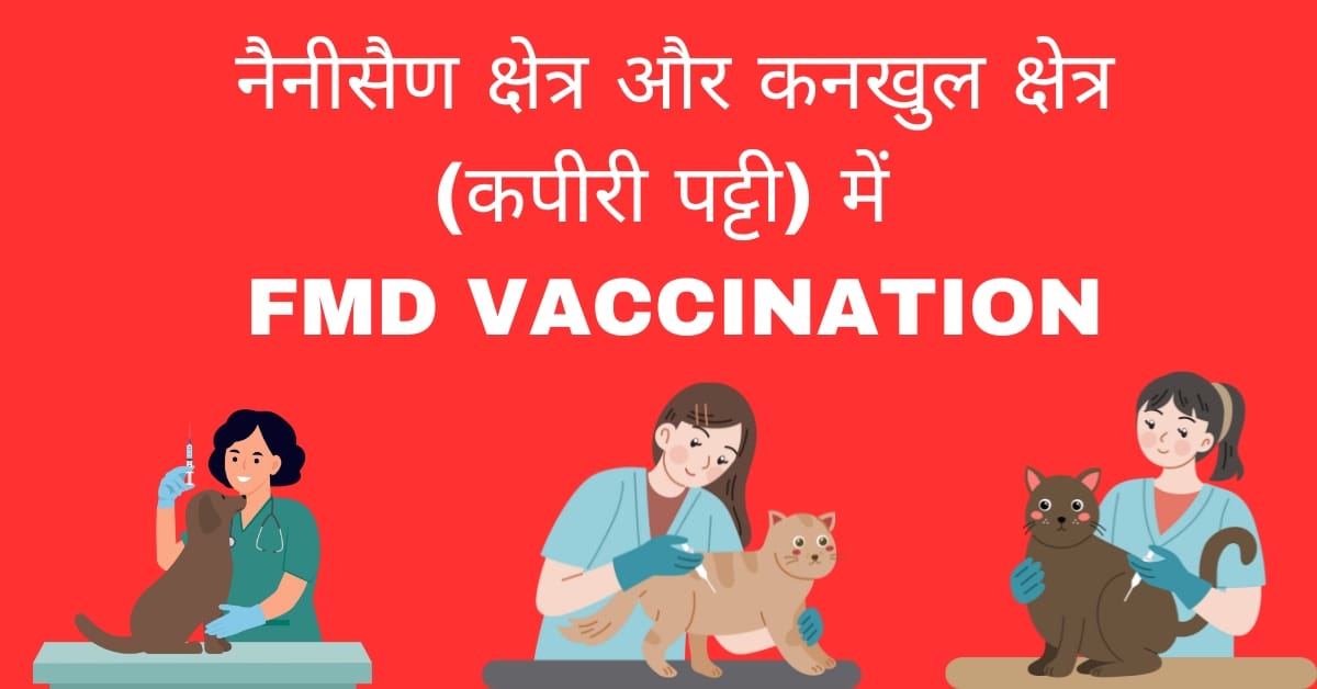 FMD VACCINATION